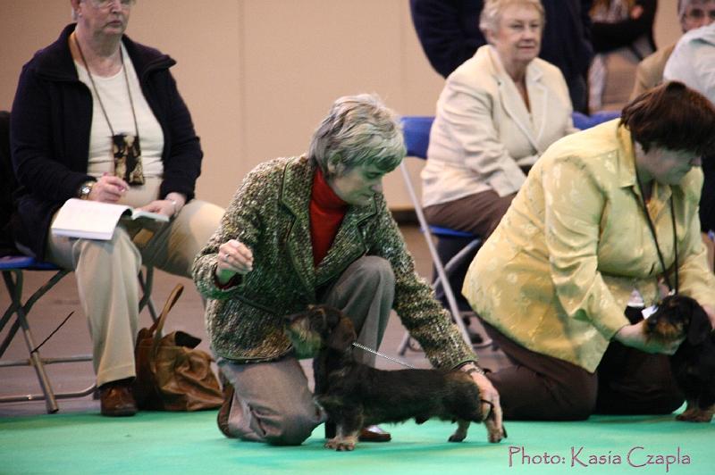 Crufts2011_2 460.jpg